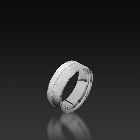 Cobalt Chrome Wide Flat Band with Meteorite