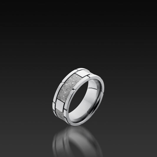 Cobalt Chrome Beveled Band with Meteorite Segments