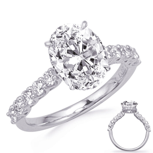 This Engagement Ring  is available in 14K White Gold. There are a total of 28 stones. There are Rounds with a total carat weight of 0.66 set in a Micro Prong|Prong Set|Shared Prongs setting.