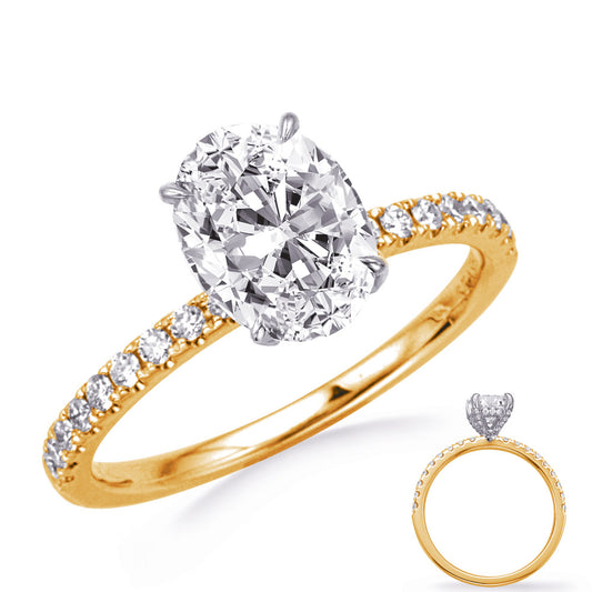 This Engagement Ring  is available in 14K Yellow & White Gold. There are a total of 62 stones. There are Rounds with a total carat weight of 0.35 set in a Micro Prong setting.