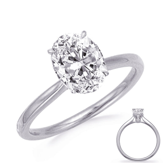 This Engagement Ring  is available in 14K White Gold. There are a total of 24 stones. There are Rounds with a total carat weight of 0.11 set in a Micro Prong setting.