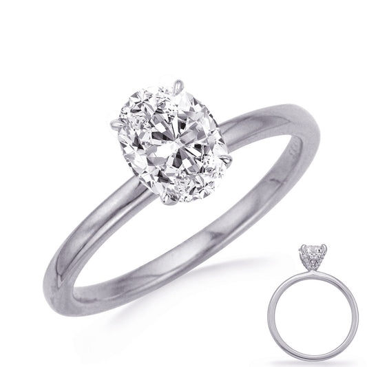 This Engagement Ring  is available in 14K White Gold. There are a total of 44 stones. There are Rounds with a total carat weight of 0.13 set in a Micro Prong setting.