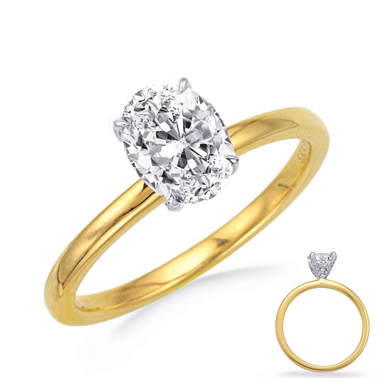 This Engagement Ring  is available in 14K Yellow & White Gold. There are a total of 30 stones. There are Rounds with a total carat weight of 0.09 set in a Micro Prong setting.