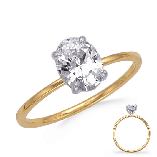 This Engagement Ring is available in 14K Yellow & White Gold. There are a total of 0 stones. There are with a total carat weight of 0 set in a setting.