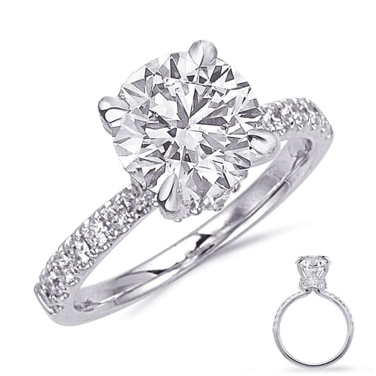 This Engagement Ring is available in 14K White Gold. There are a total of 22 stones. There are Rounds with a total carat weight of 0.75 set in a Micro Prong setting.