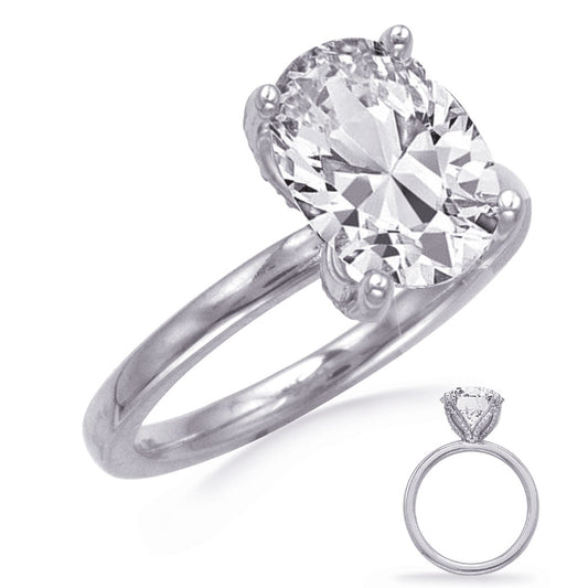 This Engagement Ring is available in 14K White Gold. There are a total of 64 stones. There are Rounds with a total carat weight of 0.18 set in a setting.