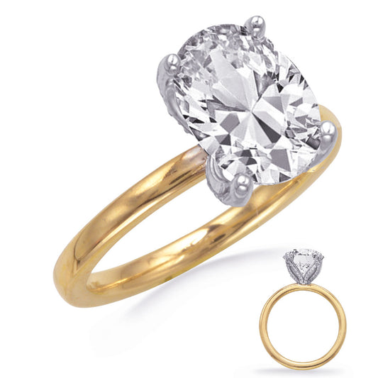 This Engagement Ring is available in 14K Yellow & White Gold. There are a total of 48 stones. There are Rounds with a total carat weight of 0.1 set in a setting.