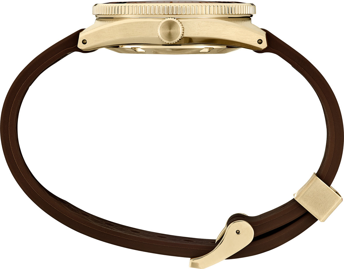 Seiko luxe PROSPEX 1965 HERITAGE DIVER'S LIMITED EDITION Watch SLA066