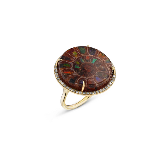 14k Round Ammonite & Diamond Cathedral Ring - One of a Kind