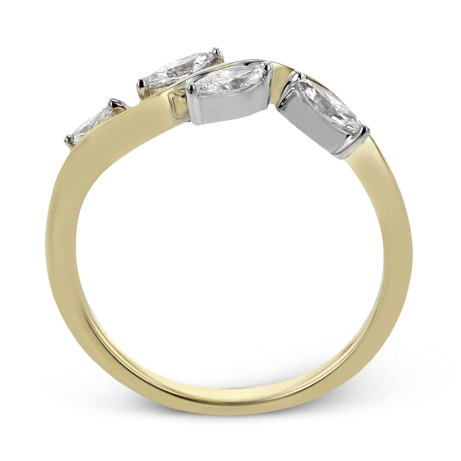 fashion-ring-in-14k-gold ZR2490