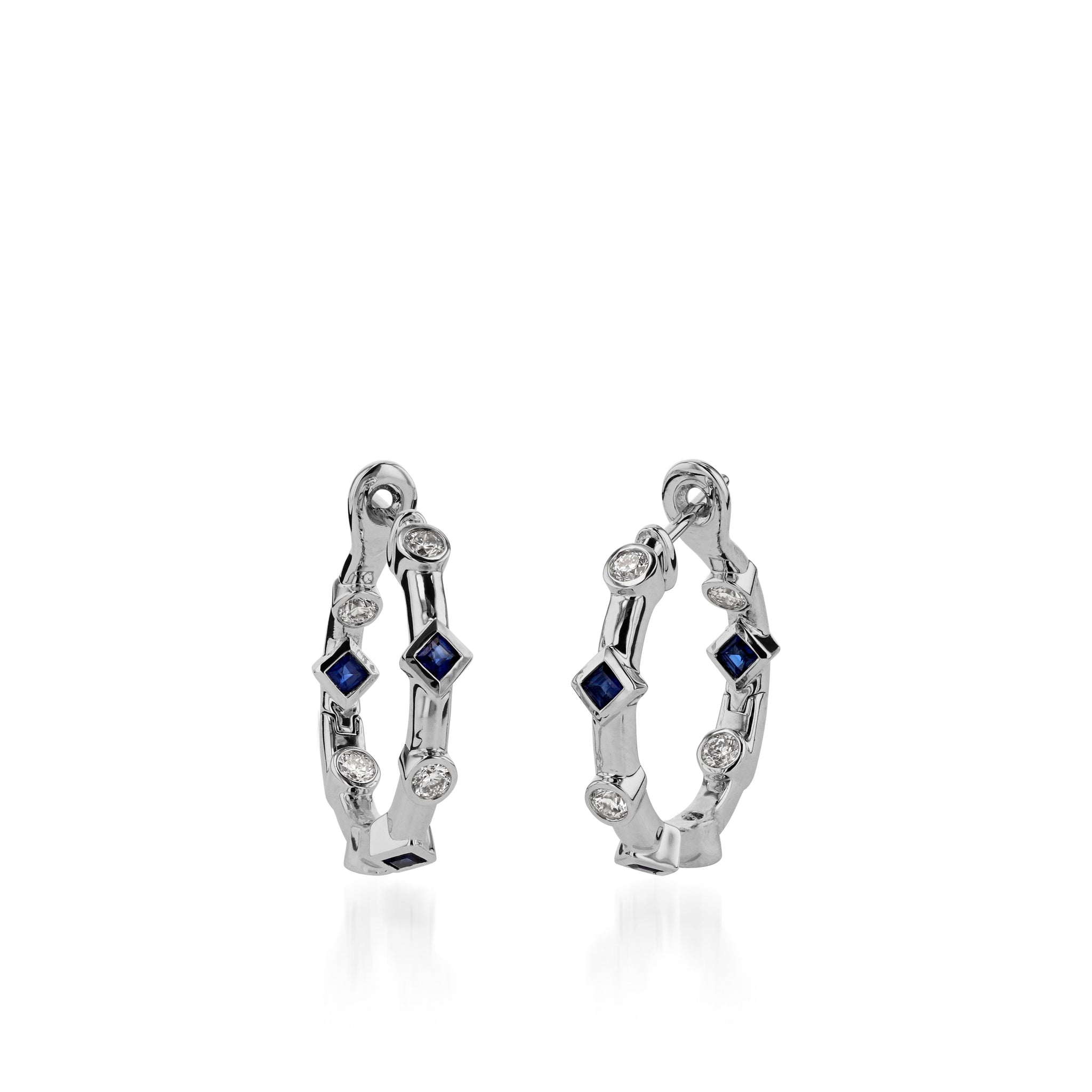 Paloma  Precious Hoop Earrings