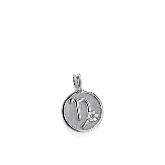 Capricorn Zodiac Medallion Pendant