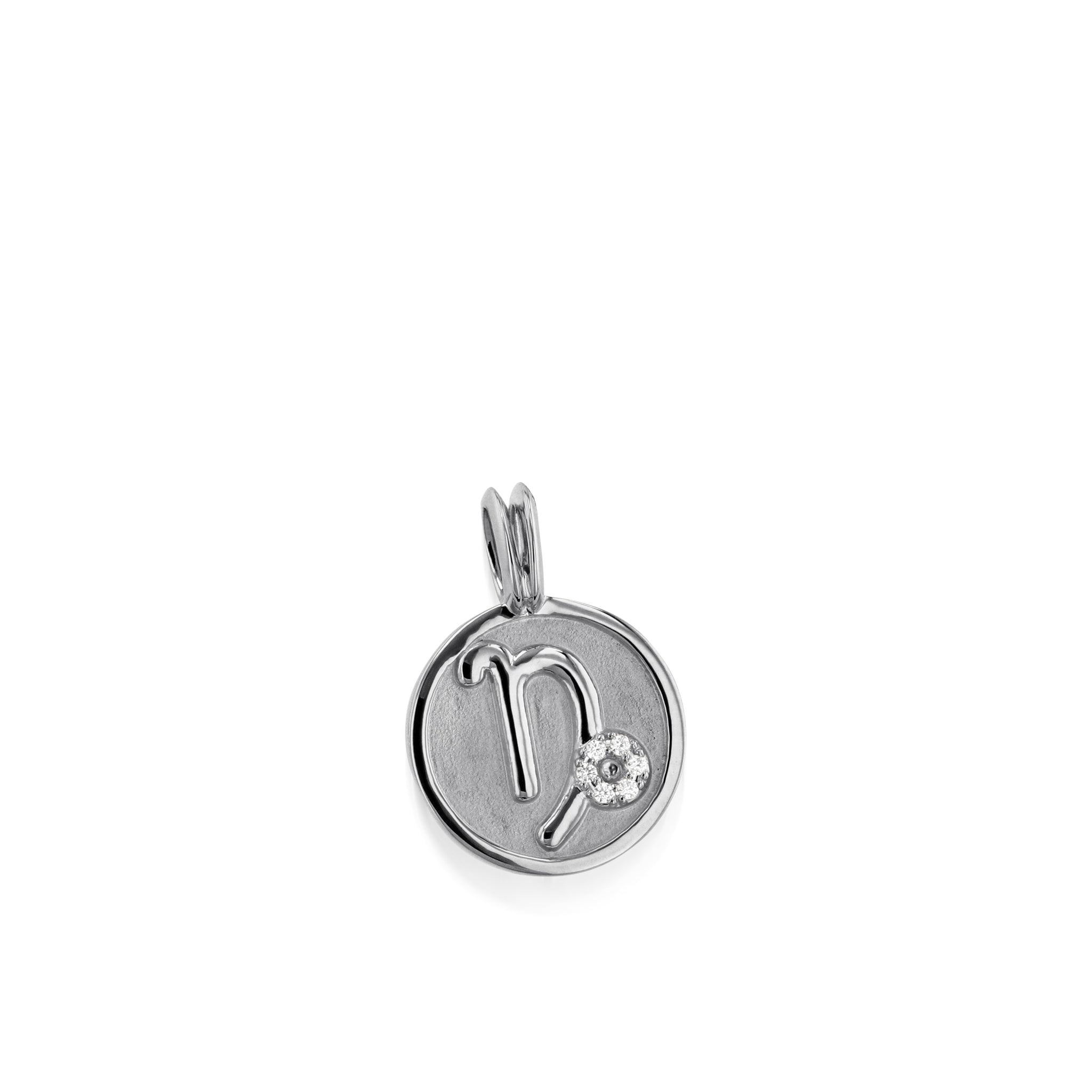 Capricorn Zodiac Medallion Pendant