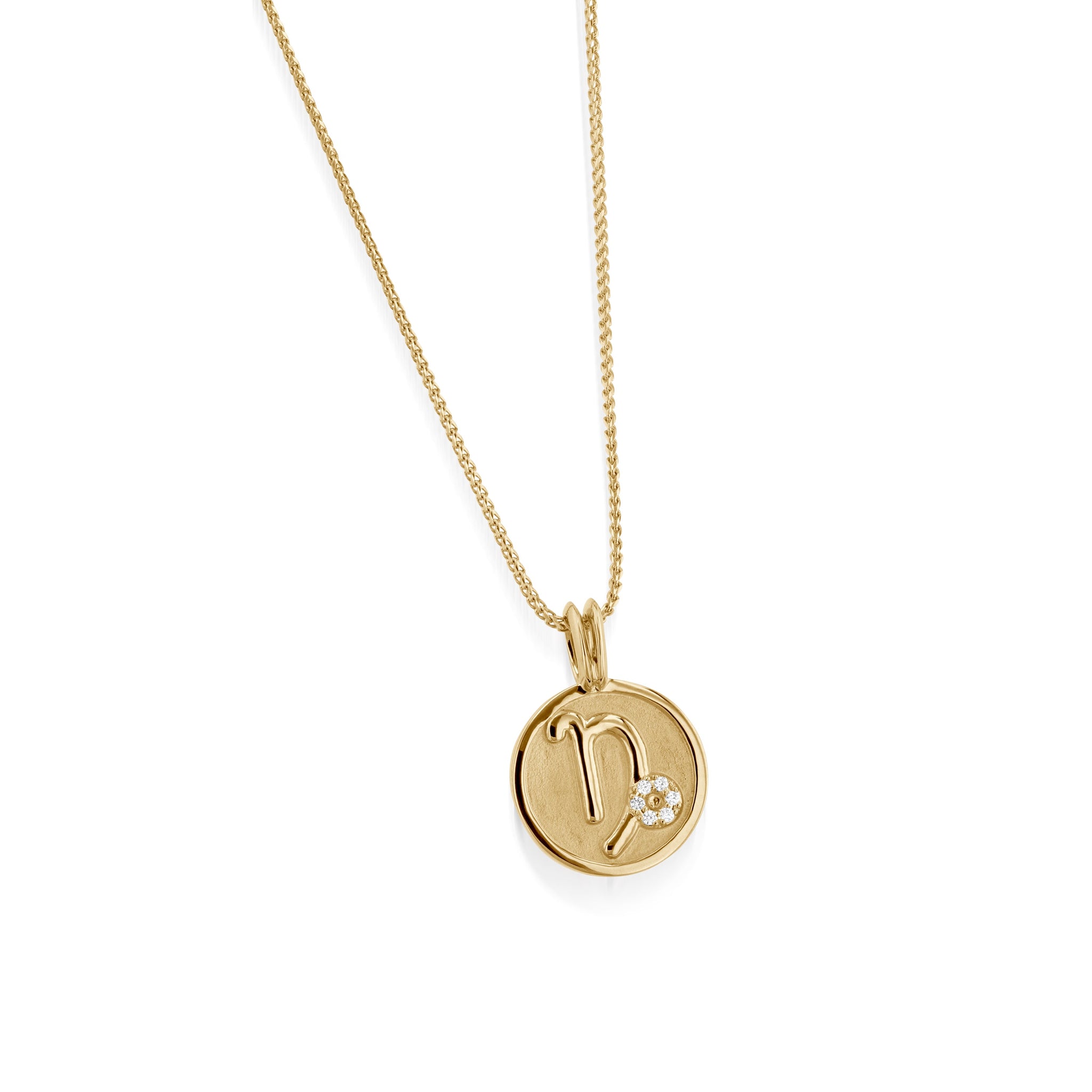 Capricorn Zodiac Medallion Pendant
