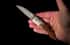William Henry Automatic opening folding knife with titanium, damascus, and ironwood B22 VISTA