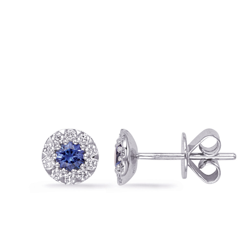 This Earring is available in 14K White Gold. There are a total of 22 stones. There are Rounds with a total carat weight of 0.25 set in a Micro Prong setting.There are Sapphire stones with a total carat weight of 0.44 set in a Micro Prong.
