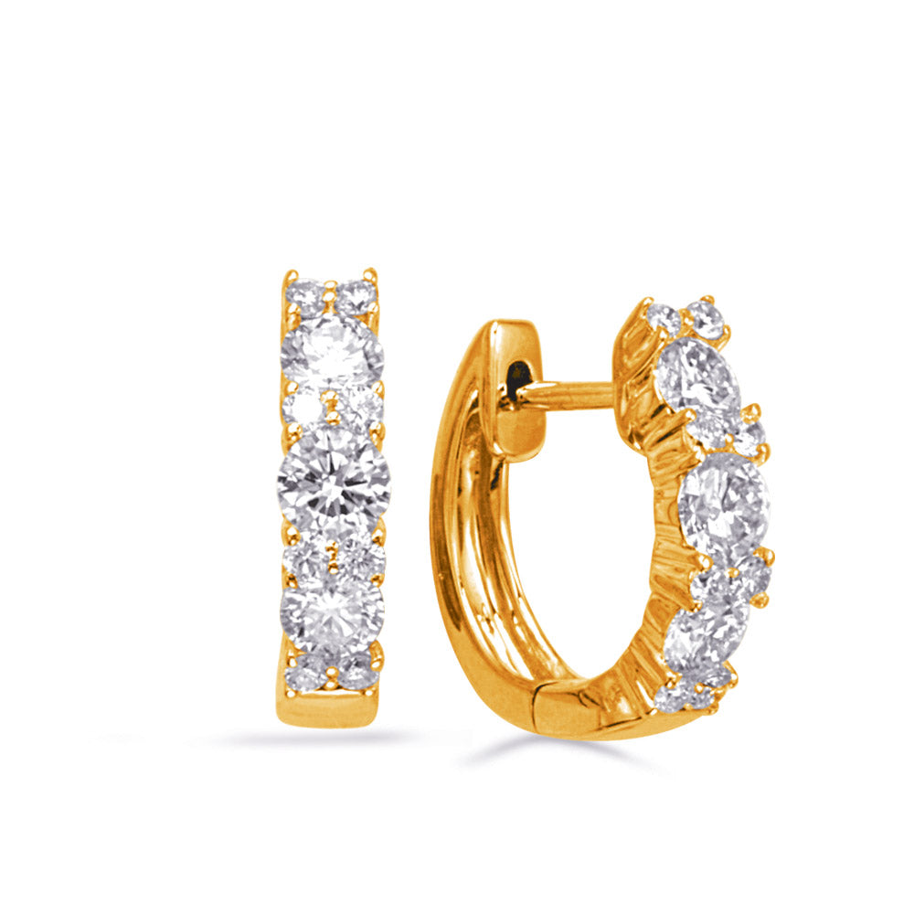 This Earring is available in 14K Yellow Gold. There are a total of 22 stones. There are Rounds with a total carat weight of 1 set in a Micro Prong|Prong Set setting.