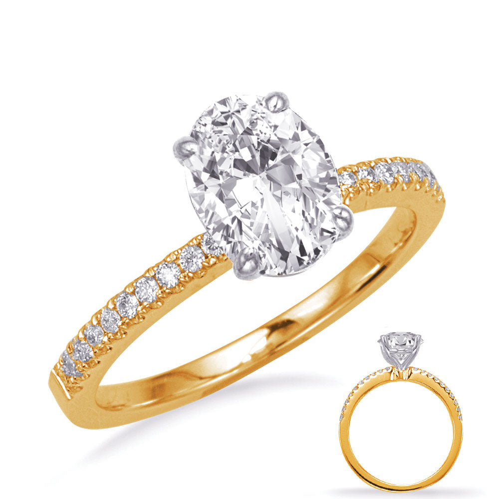 This Engagement Ring  is available in 14K Yellow & White Gold. There are a total of 20 stones. There are Rounds with a total carat weight of 0.14 set in a Micro Prong setting.