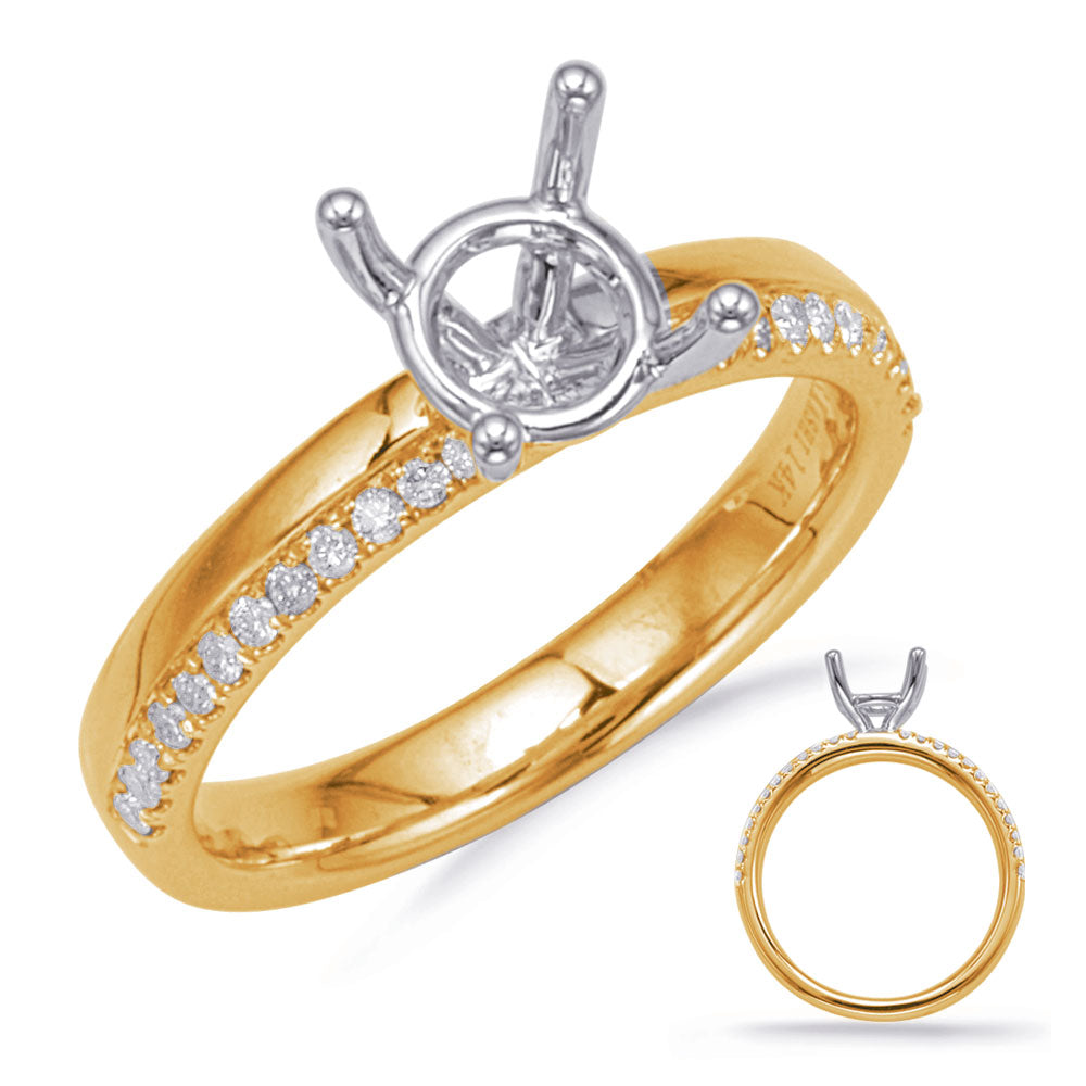 This Engagement Ring  is available in 14K Yellow & White Gold. There are a total of 24 stones. There are Rounds with a total carat weight of 0.14 set in a Micro Prong setting.