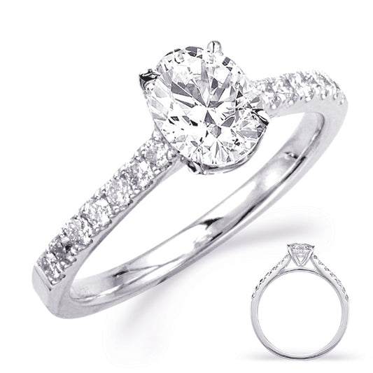 This Engagement Ring  is available in 14K White Gold. There are a total of 14 stones. There are Rounds with a total carat weight of 0.22 set in a Micro Prong setting.