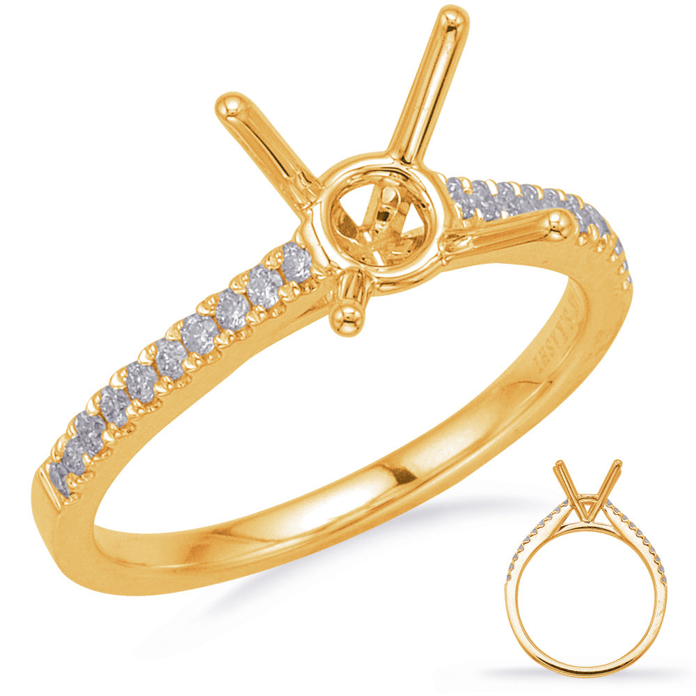 This Engagement Ring  is available in 14K Yellow Gold. There are a total of 20 stones. There are Rounds with a total carat weight of 0.17 set in a Micro Prong setting.