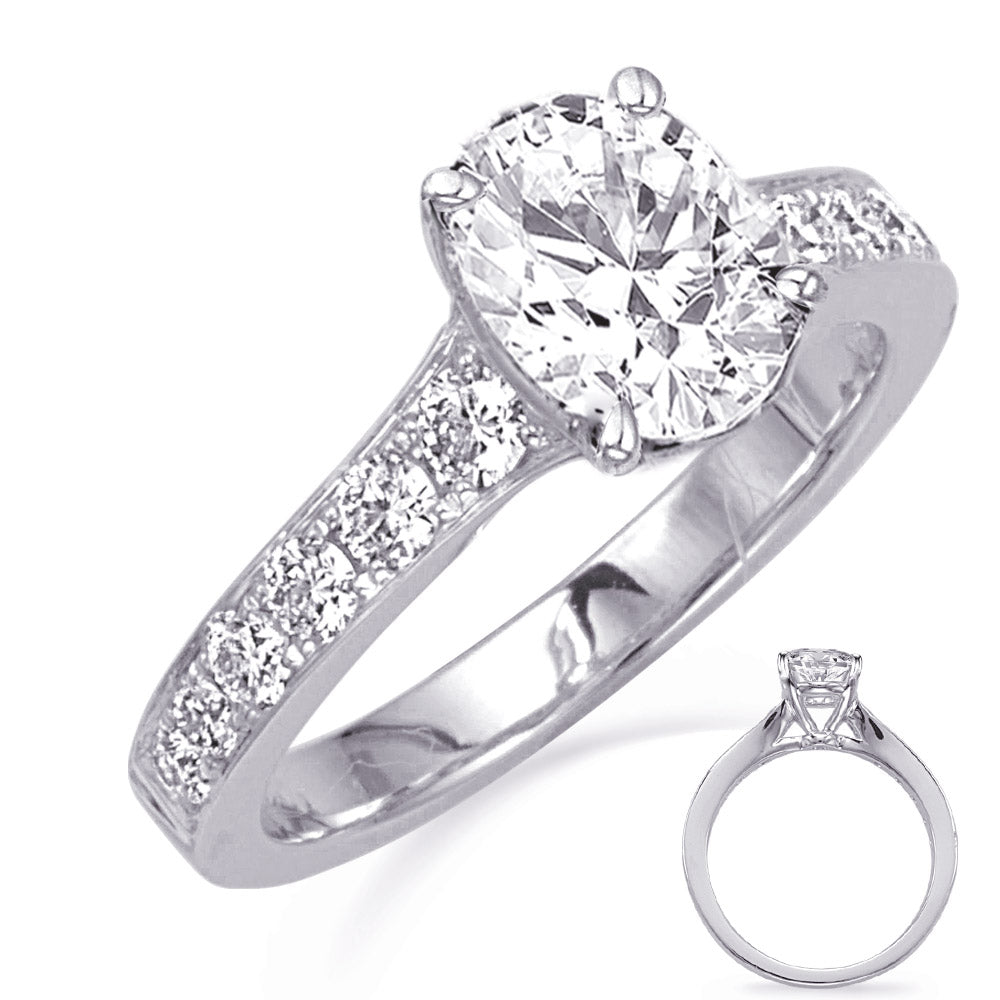 This Engagement Ring  is available in 14K White Gold. There are a total of 12 stones. There are Rounds with a total carat weight of 0.54 set in a Micro Prong setting.