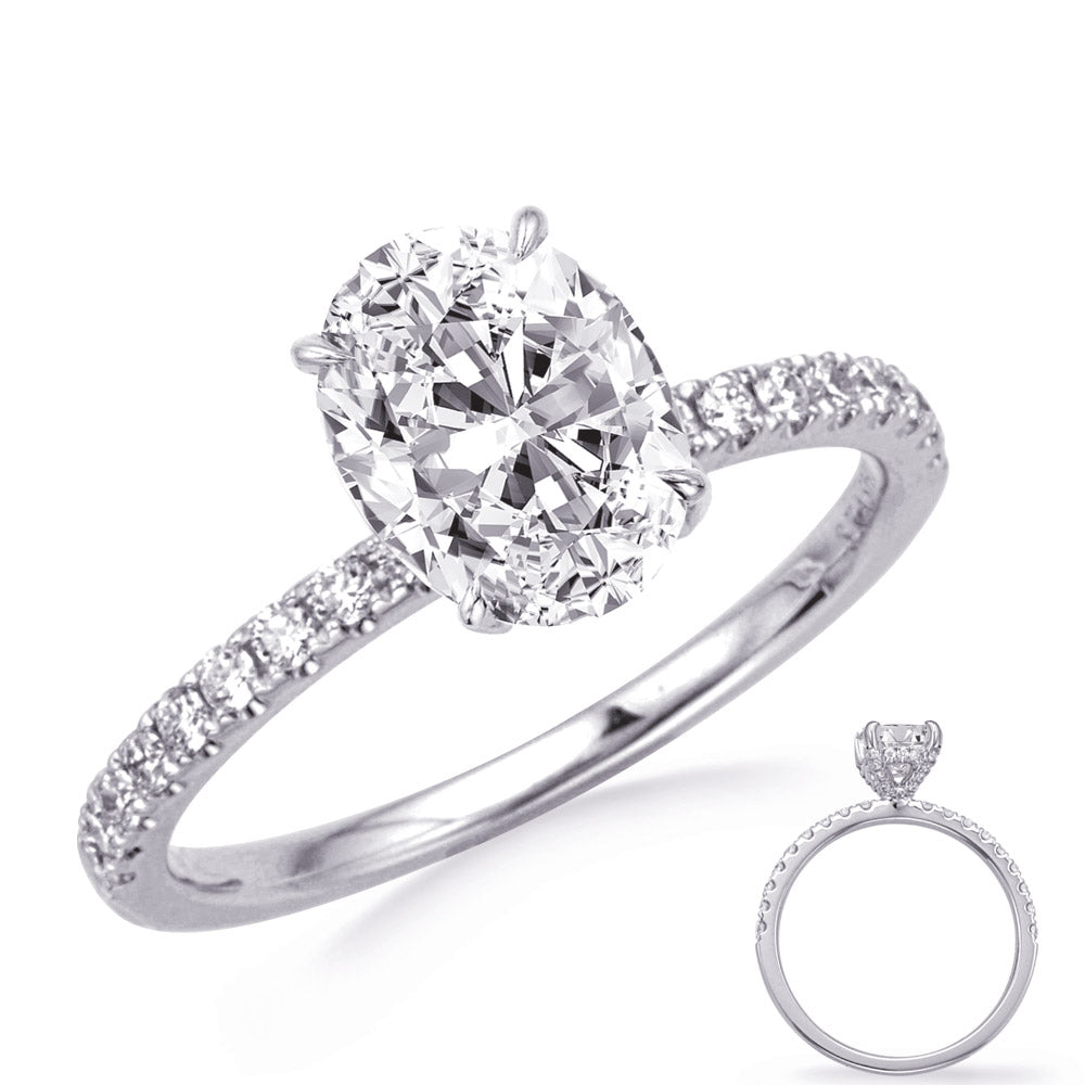 This Engagement Ring  is available in 14K White Gold. There are a total of 54 stones. There are Rounds with a total carat weight of 0.31 set in a Micro Prong setting.