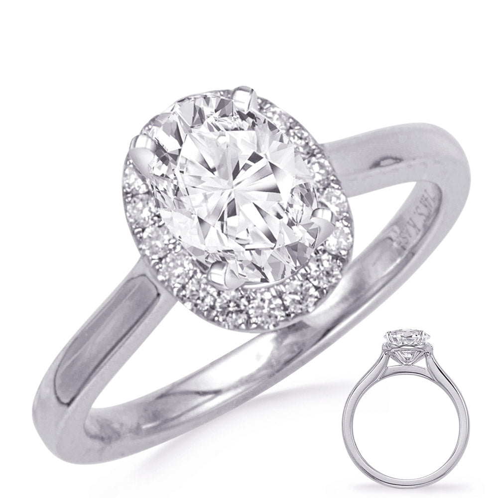 This Engagement Ring  is available in 14K White Gold. There are a total of 28 stones. There are Rounds with a total carat weight of 0.24 set in a Prong Set setting.