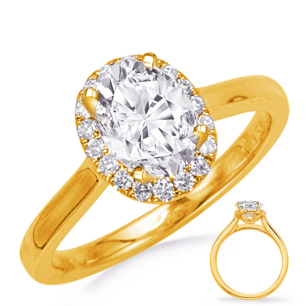 This Engagement Ring  is available in 14K Yellow Gold. There are a total of 28 stones. There are Rounds with a total carat weight of 0.24 set in a Prong Set setting.