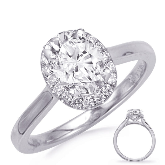 This Engagement Ring  is available in 14K White Gold. There are a total of 22 stones. There are Rounds with a total carat weight of 0.19 set in a Prong Set setting.