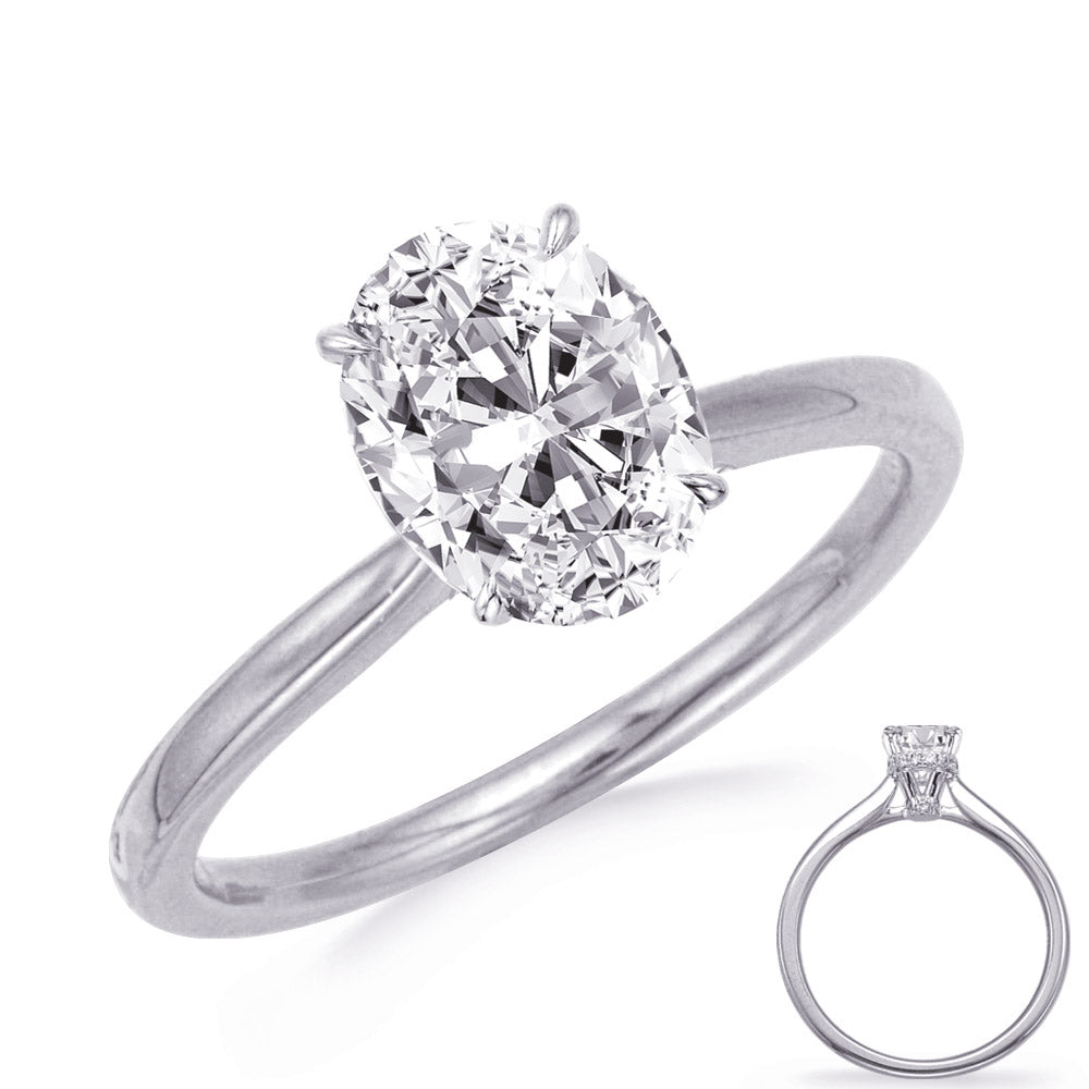 This Engagement Ring  is available in 14K White Gold. There are a total of 32 stones. There are Rounds with a total carat weight of 0.24 set in a Micro Prong setting.