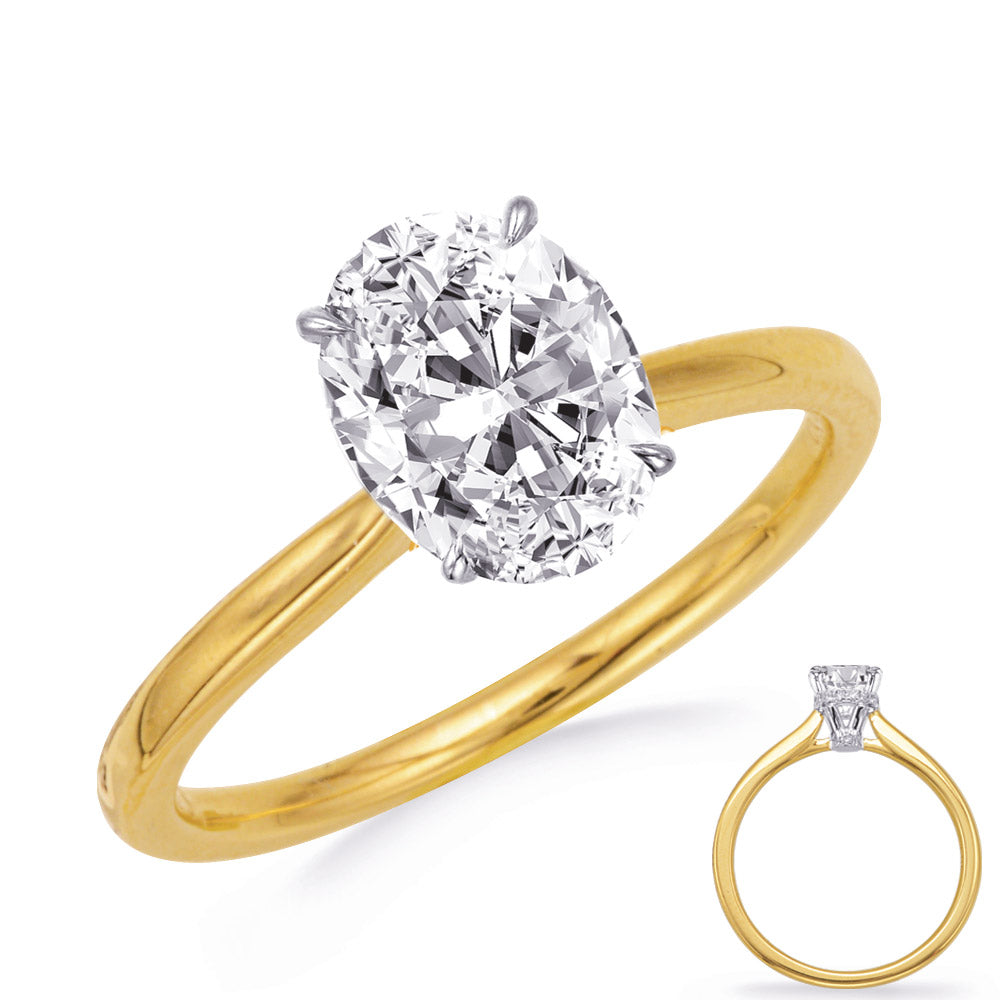 This Engagement Ring  is available in 14K Yellow & White Gold. There are a total of 32 stones. There are Rounds with a total carat weight of 0.24 set in a Micro Prong setting.