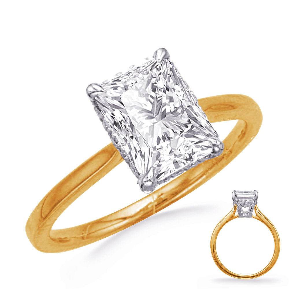 This Engagement Ring  is available in 14K Yellow & White Gold. There are a total of 38 stones. There are Rounds with a total carat weight of 0.36 set in a Micro Prong setting.