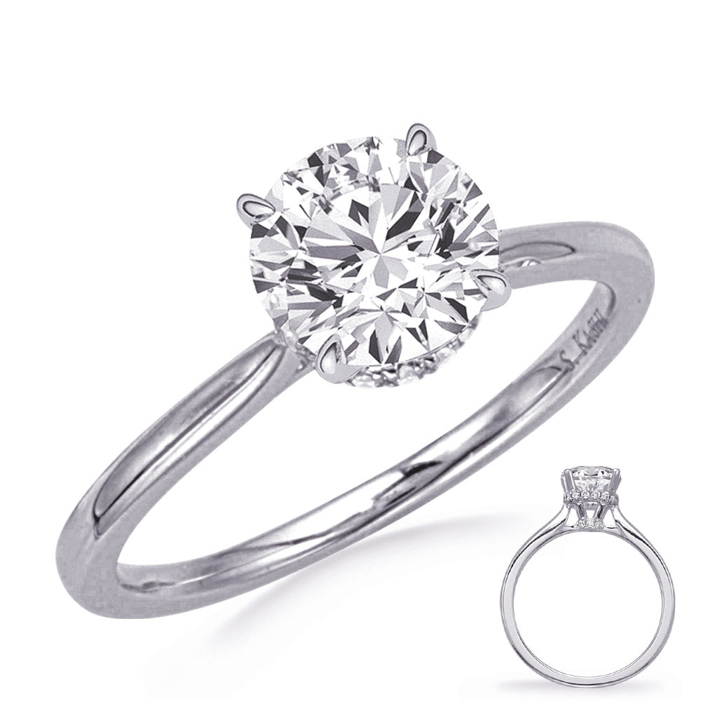 This Engagement Ring  is available in 14K White Gold. There are a total of 24 stones. There are Rounds with a total carat weight of 0.25 set in a Prong Set setting.