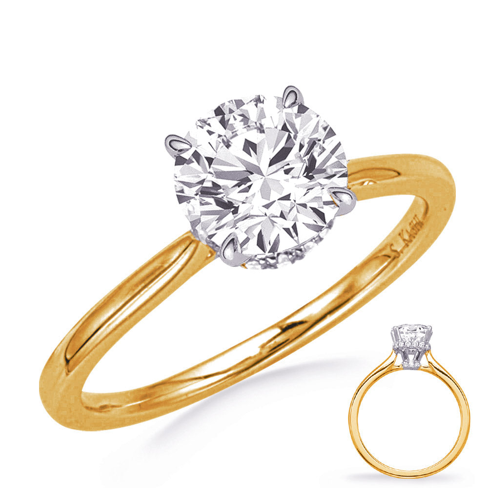 This Engagement Ring  is available in 14K Yellow & White Gold. There are a total of 24 stones. There are Rounds with a total carat weight of 0.25 set in a Prong Set setting.