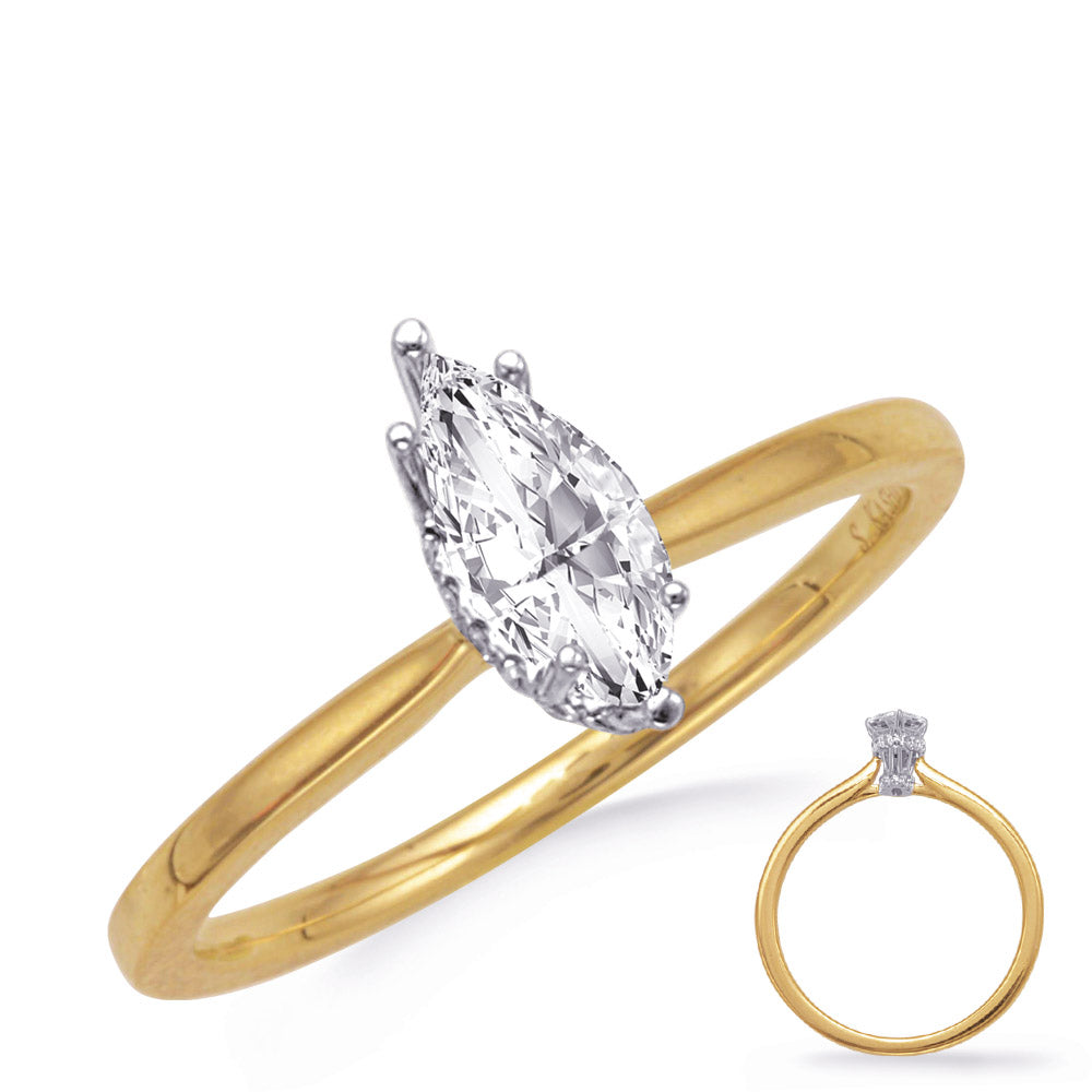 This Engagement Ring  is available in 14K Yellow & White Gold. There are a total of 28 stones. There are Rounds with a total carat weight of 0.13 set in a Micro Prong setting.