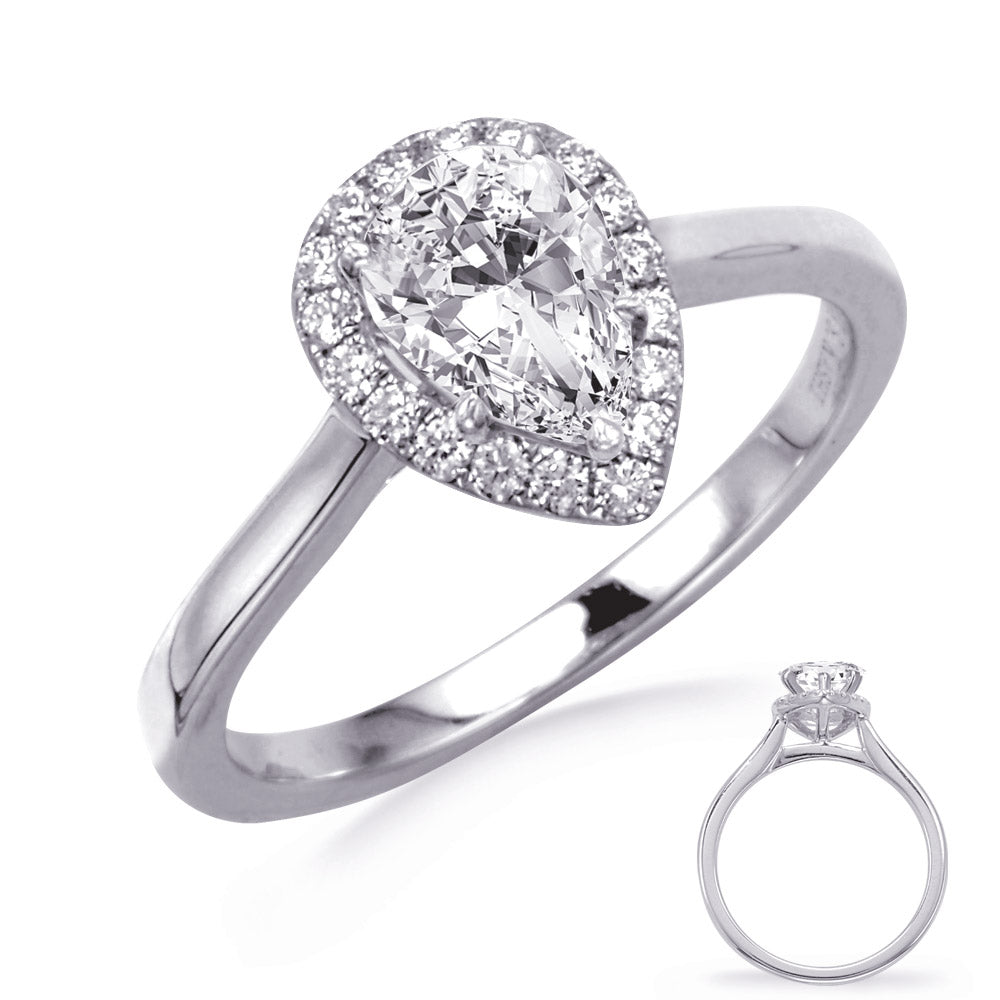 This Engagement Ring  is available in 14K White Gold. There are a total of 20 stones. There are Rounds with a total carat weight of 0.2 set in a Micro Prong setting.