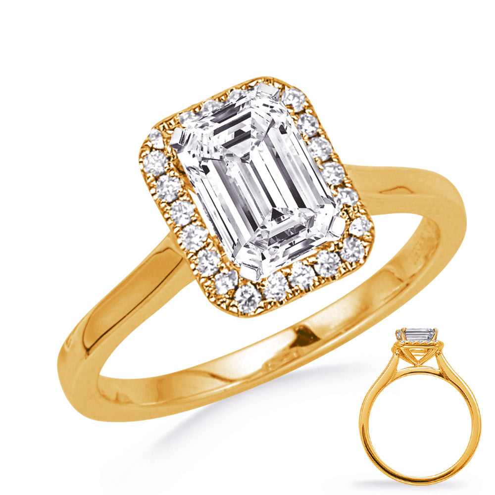 This Engagement Ring  is available in 14K Yellow Gold. There are a total of 24 stones. There are Rounds with a total carat weight of 0.21 set in a Prong Set setting.