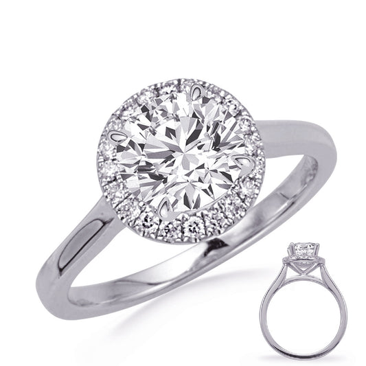 This Engagement Ring  is available in 14K White Gold. There are a total of 14 stones. There are Rounds with a total carat weight of 0.13 set in a Micro Prong setting.