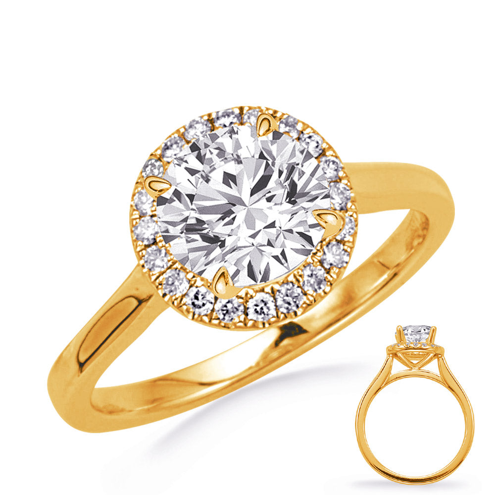This Engagement Ring  is available in 14K Yellow Gold. There are a total of 14 stones. There are Rounds with a total carat weight of 0.13 set in a Micro Prong setting.