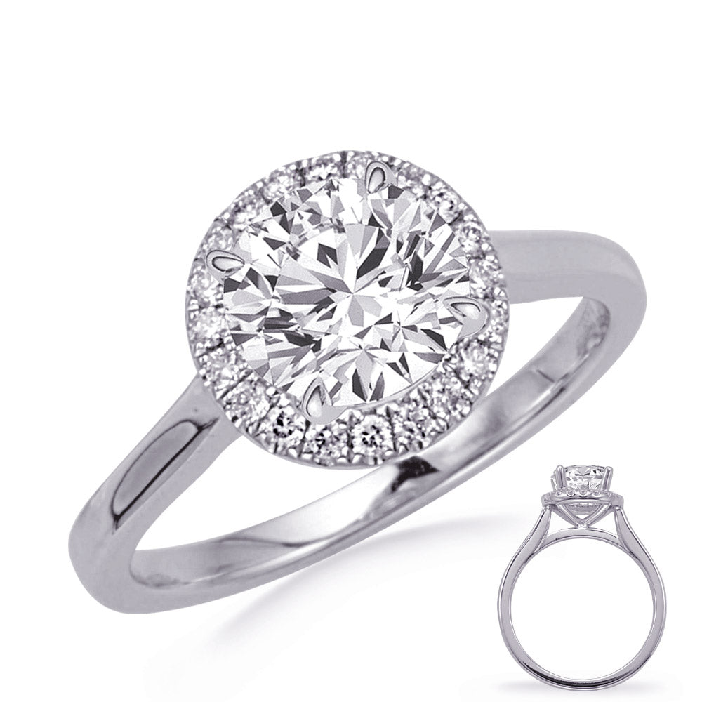 This Engagement Ring  is available in 14K White Gold. There are a total of 18 stones. There are Rounds with a total carat weight of 0.16 set in a Micro Prong setting.