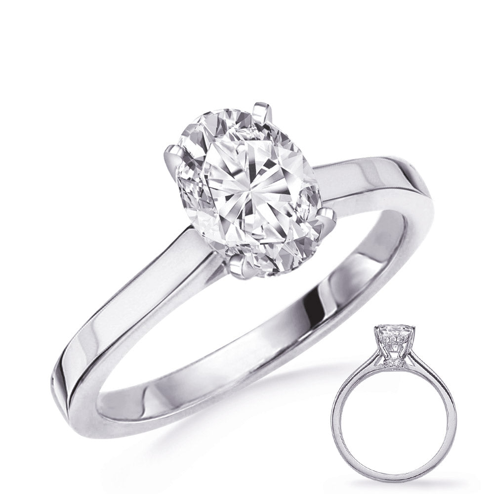 This Engagement Ring  is available in 14K White Gold. There are a total of 28 stones. There are Rounds with a total carat weight of 0.17 set in a Micro Prong setting.