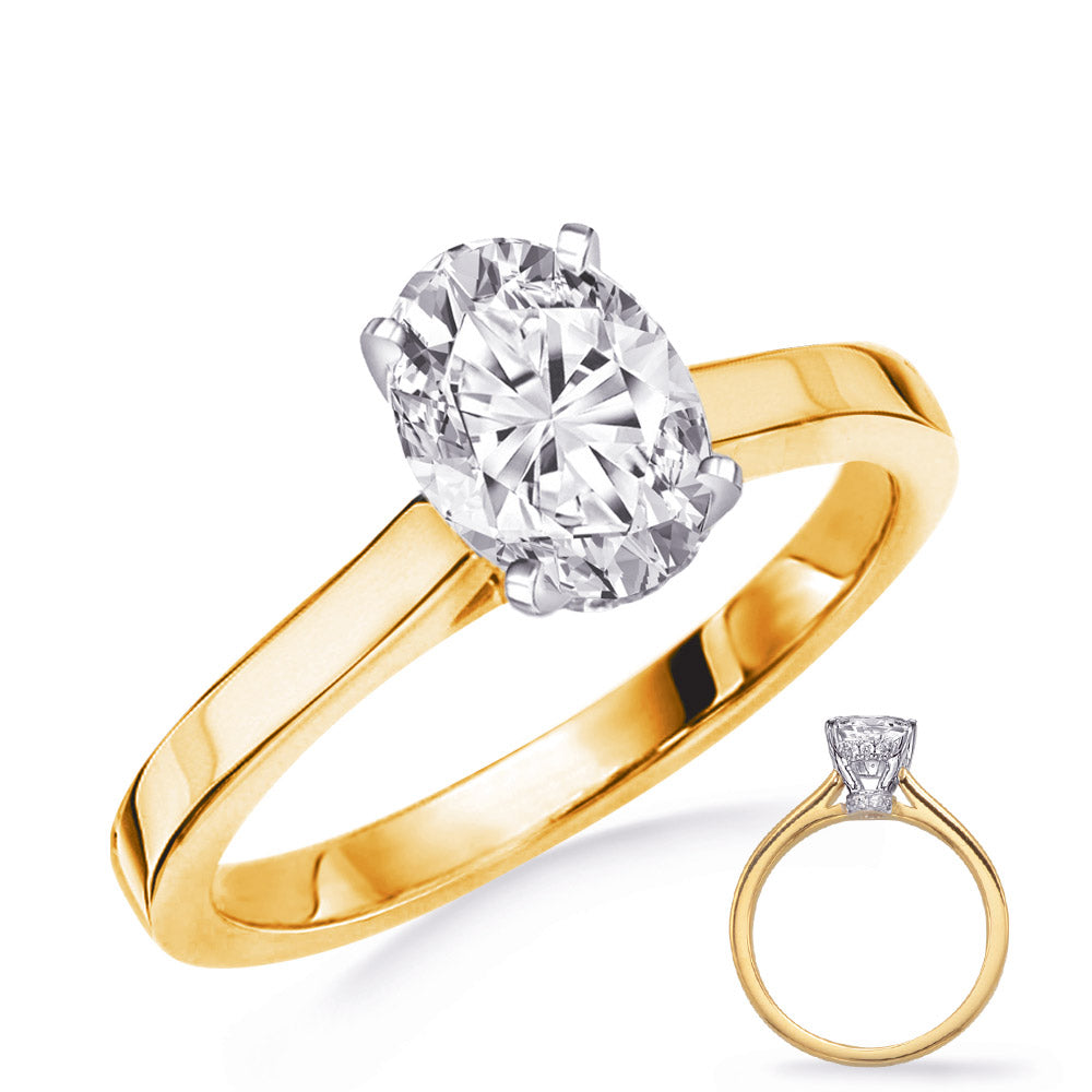 This Engagement Ring  is available in 14K Yellow & White Gold. There are a total of 28 stones. There are Rounds with a total carat weight of 0.17 set in a Micro Prong setting.