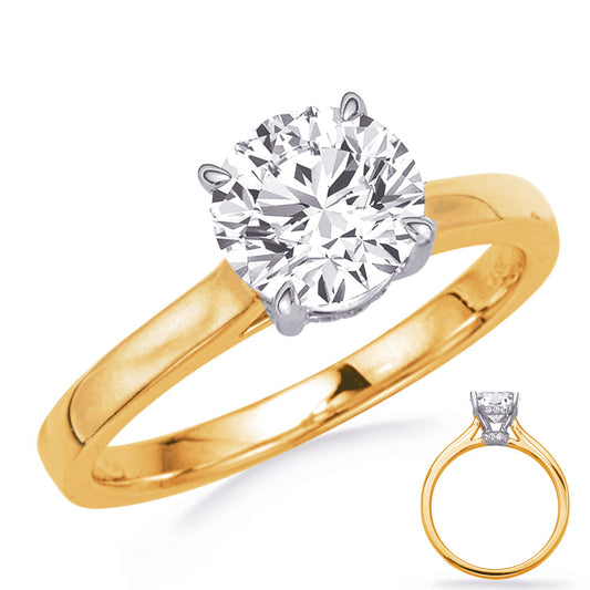 This Engagement Ring  is available in 14K Yellow & White Gold. There are a total of 20 stones. There are Rounds with a total carat weight of 0.08 set in a Micro Prong setting.