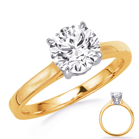 This Engagement Ring  is available in 14K Yellow & White Gold. There are a total of 18 stones. There are Rounds with a total carat weight of 0.07 set in a Micro Prong setting.