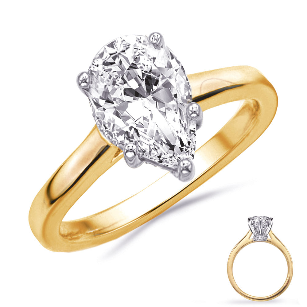 This Engagement Ring  is available in 14K Yellow & White Gold. There are a total of 19 stones. There are Rounds with a total carat weight of 0.08 set in a Micro Prong setting.