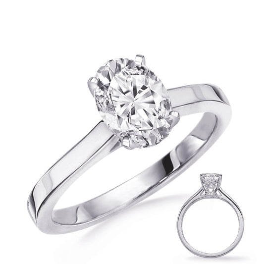 This Engagement Ring  is available in 14K White Gold. There are a total of 20 stones. There are Rounds with a total carat weight of 0.08 set in a Micro Prong setting.