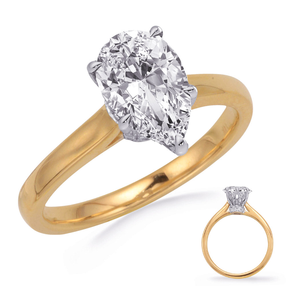 This Engagement Ring  is available in 14K Yellow & White Gold. There are a total of 24 stones. There are Rounds with a total carat weight of 0.13 set in a Micro Prong setting.