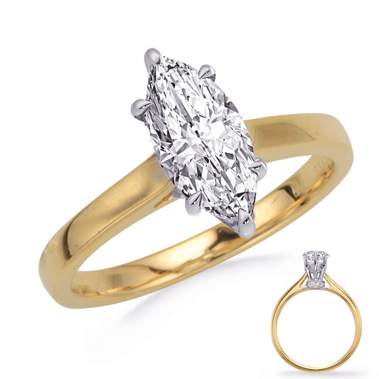 This Engagement Ring  is available in 14K Yellow & White Gold. There are a total of 22 stones. There are Rounds with a total carat weight of 0.12 set in a Prong Set setting.