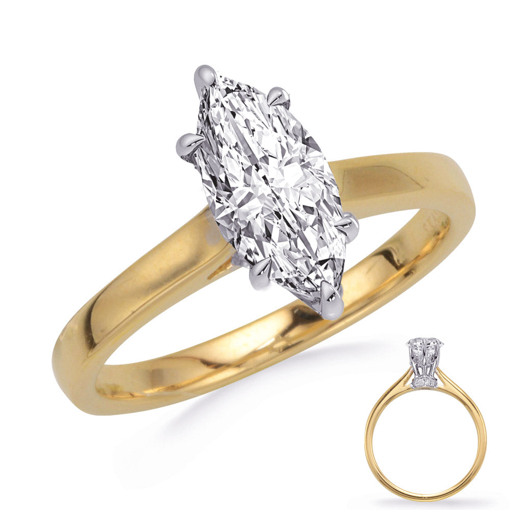 This Engagement Ring  is available in 14K Yellow & White Gold. There are a total of 22 stones. There are Rounds with a total carat weight of 0.12 set in a Prong Set setting.